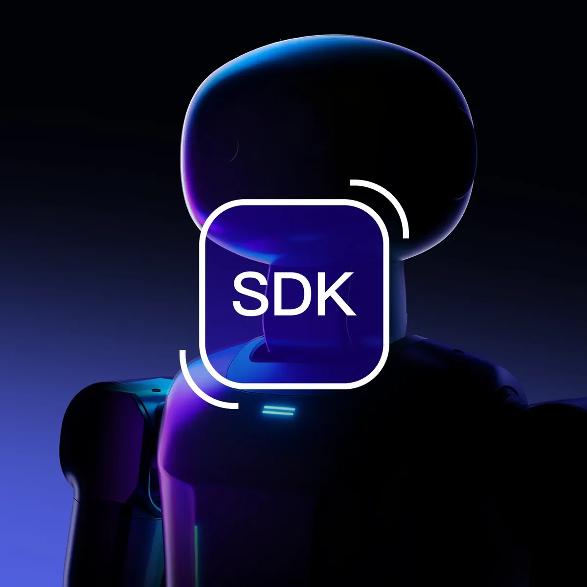 Booster SDK image