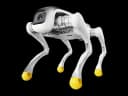 AgiBot D1
