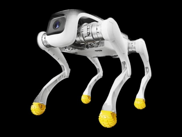 AgiBot D1