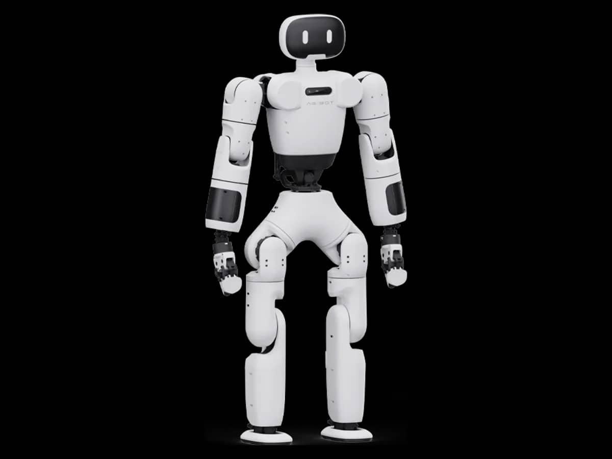 AgiBot X1