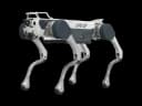 DeepRobotics X30