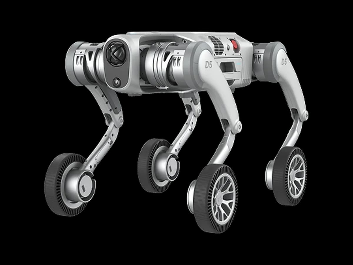 PUDU D5-W