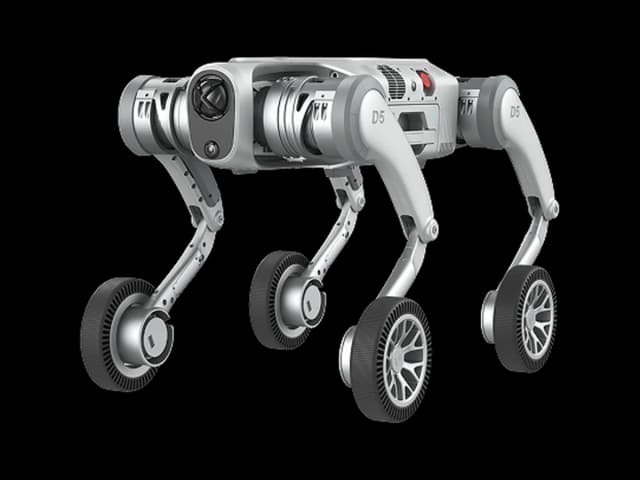 PUDU D5-W