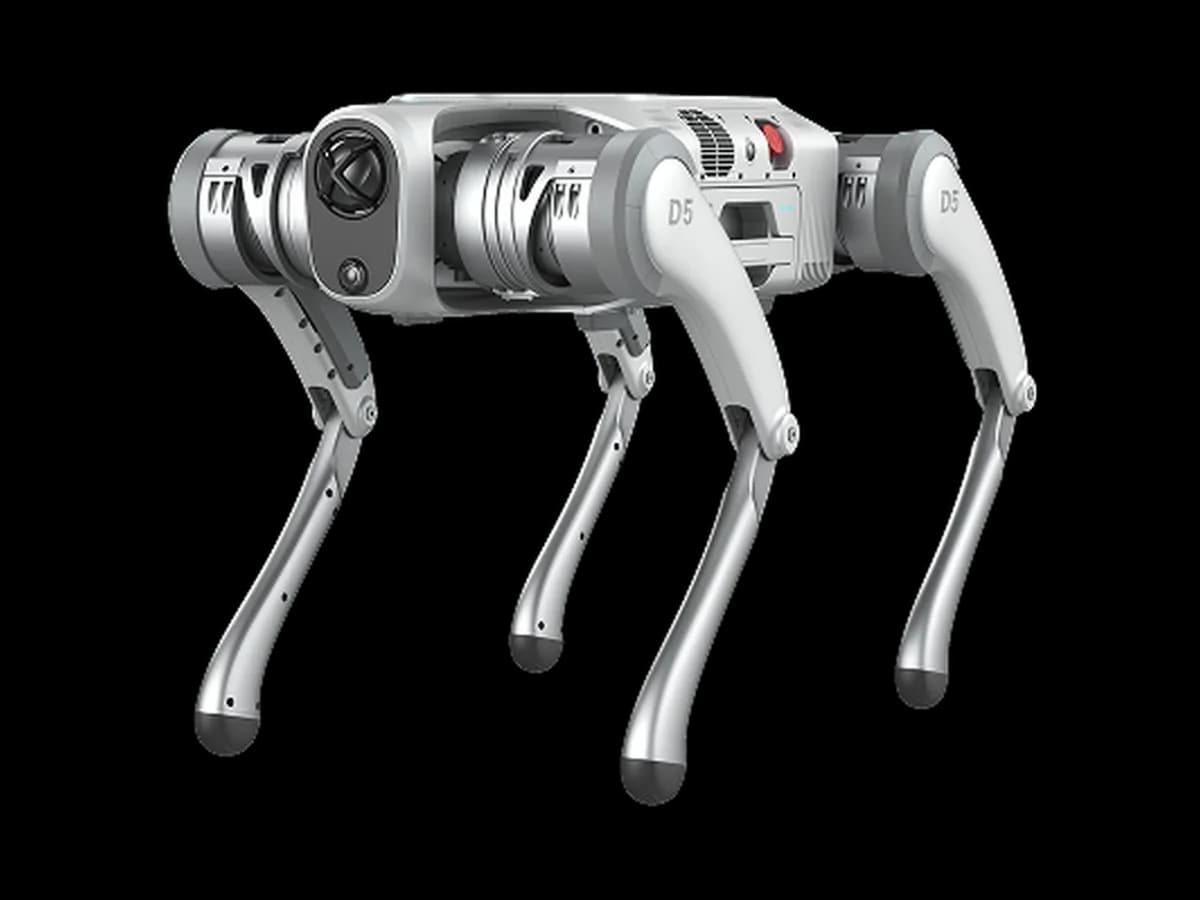 PUDU D5