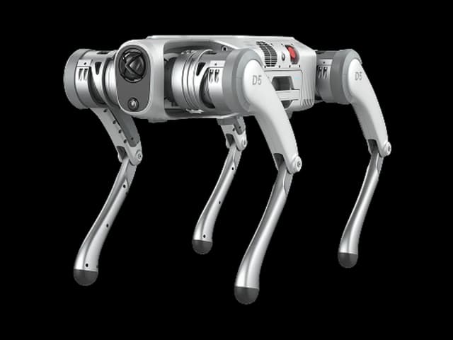 PUDU D5