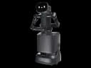 PUDU FlashBot Arm