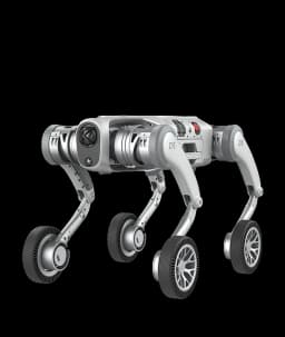 PUDU D5-W - Robot Çözümleri
