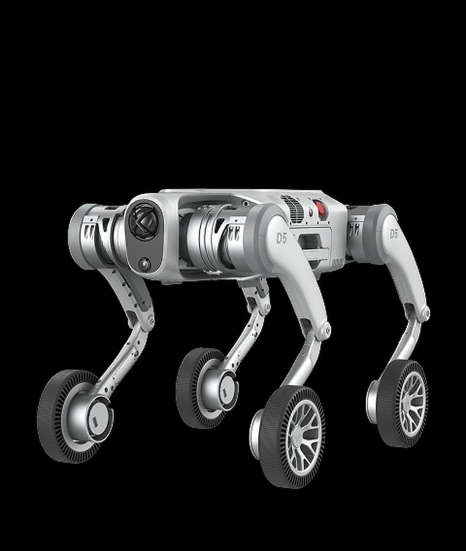 PUDU D5-W - Benzer Robot
