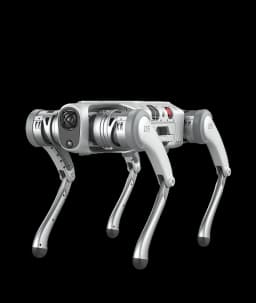 PUDU D5 - Robot Çözümleri