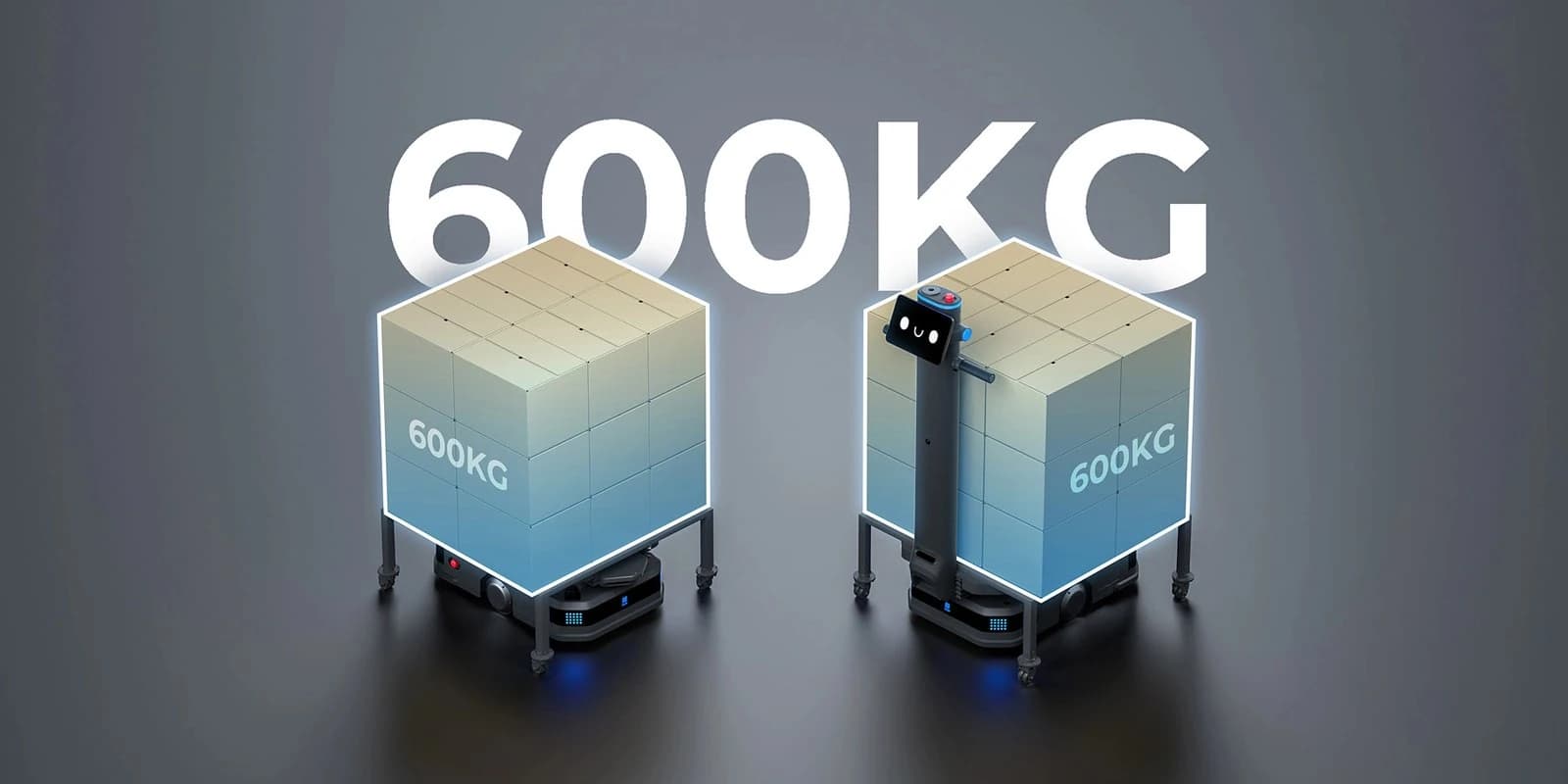 600 KG Payload Capacity