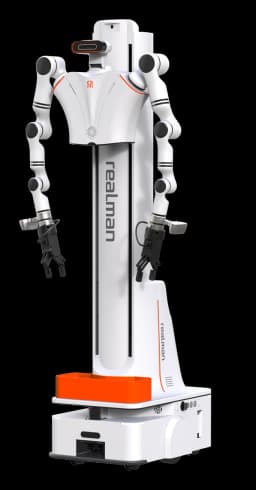 RealMan Dual-Arm Lift - Robot Çözümleri