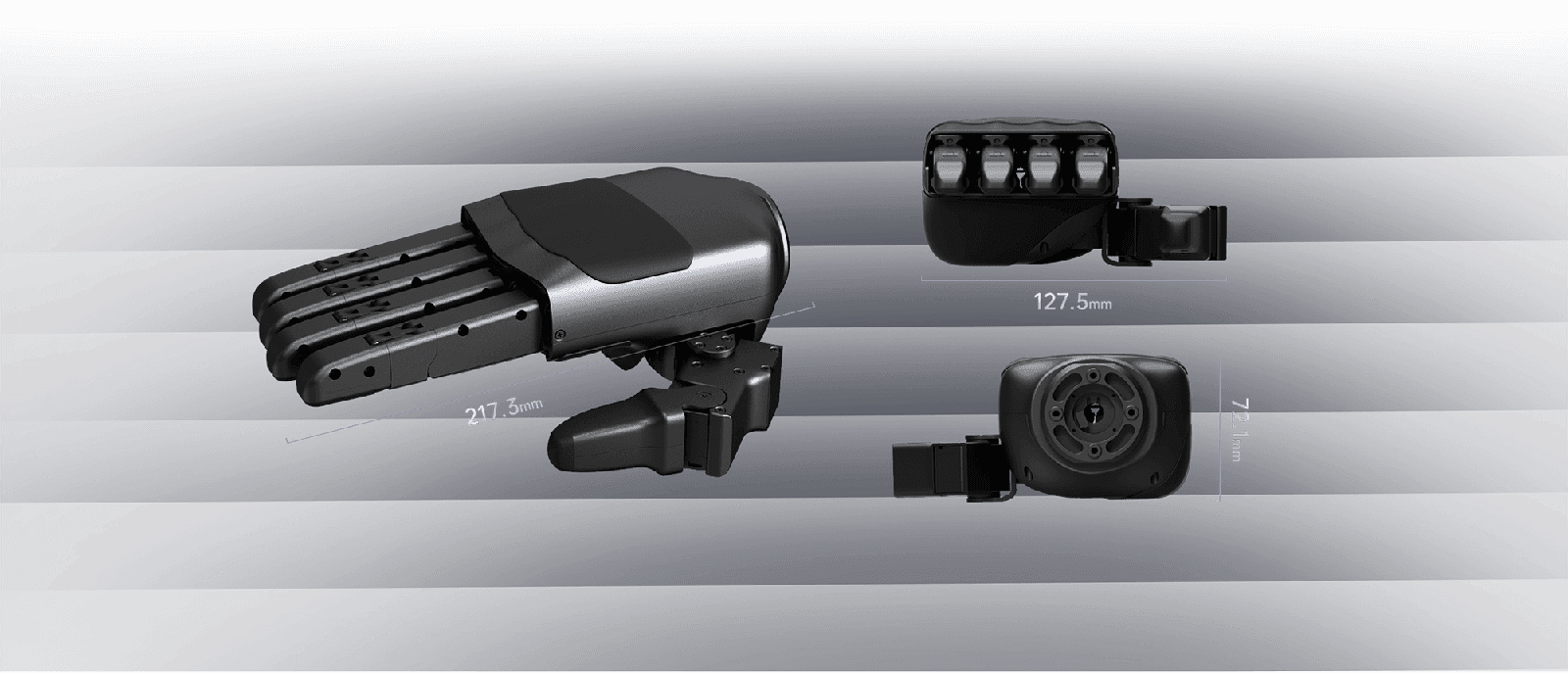 Dex5-1 and the tactile Dex5-1P editions