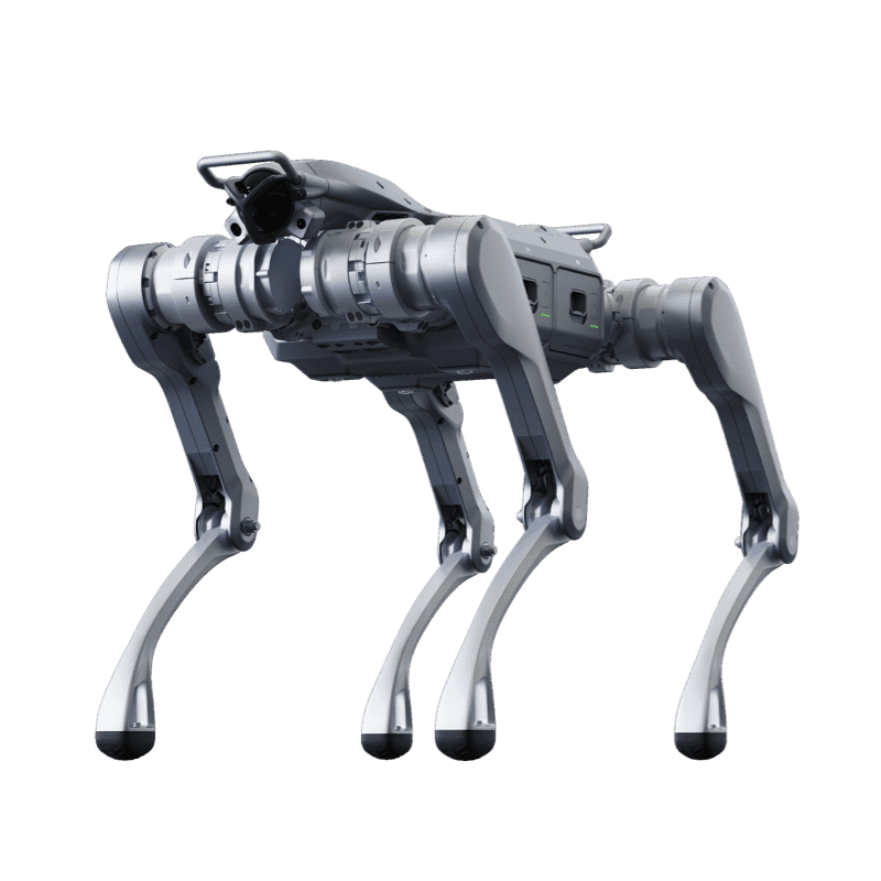 Unitree A2 — robotlar.org