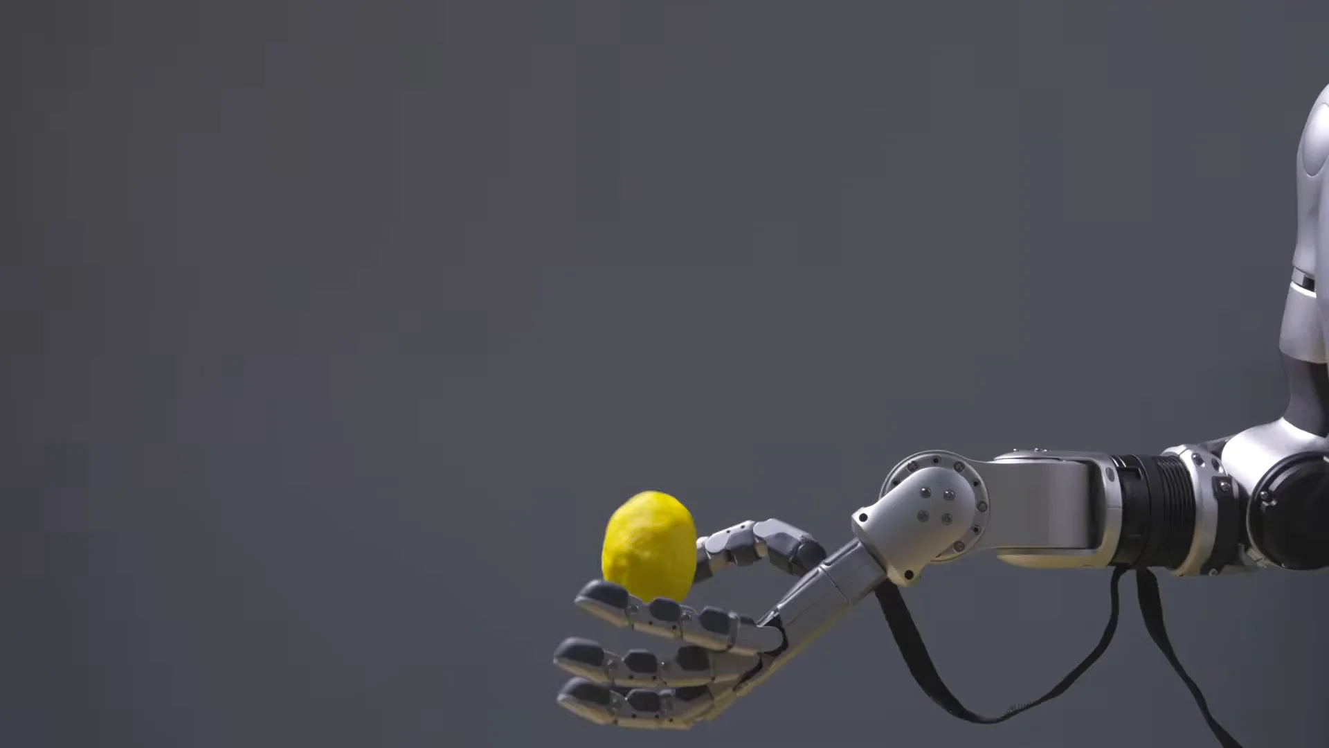 Mounted on a humanoid arm, holding a small piece of fruit.