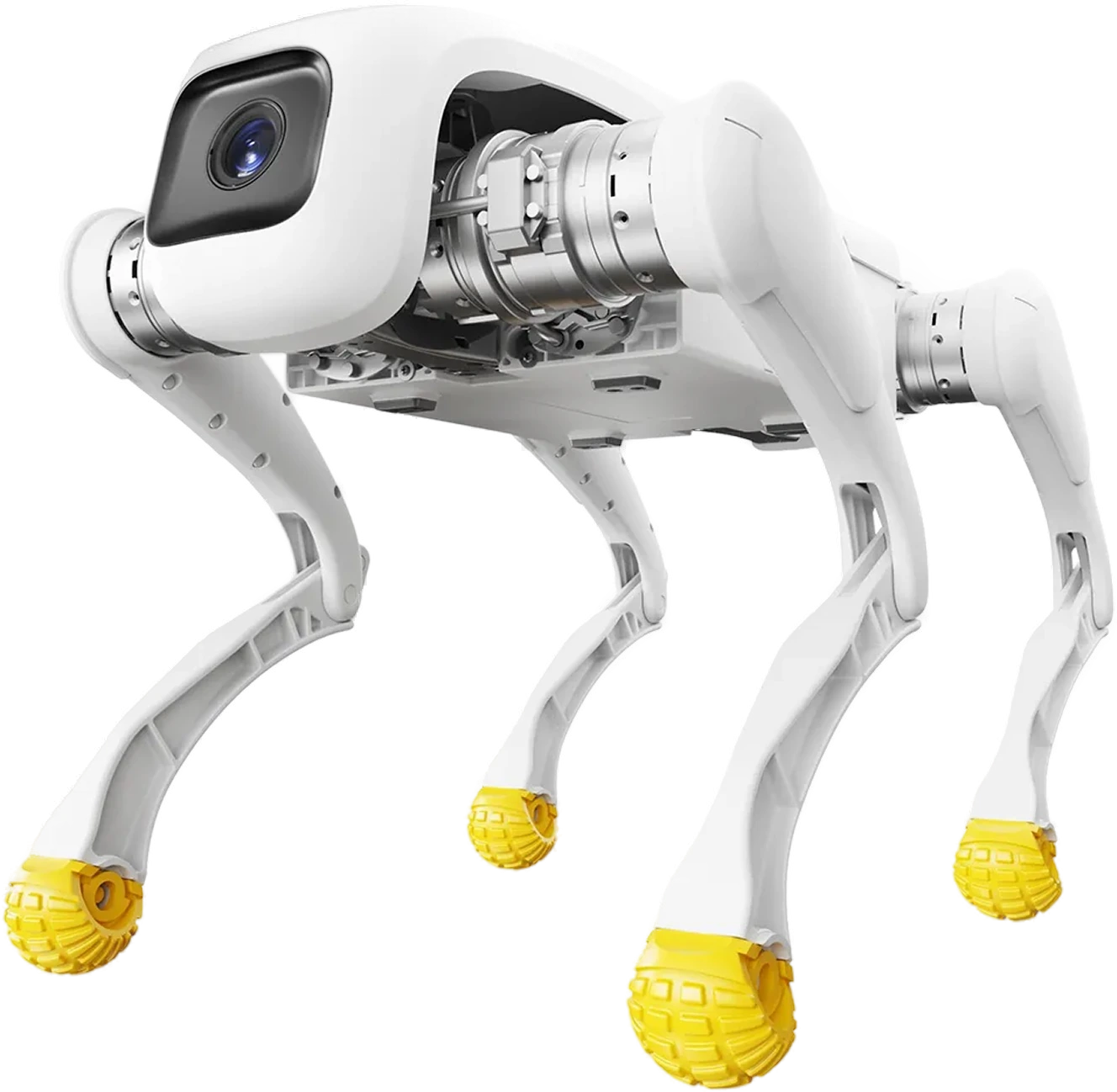 AgiBot D1