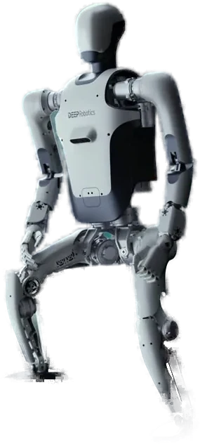 DeepRobotics DR01