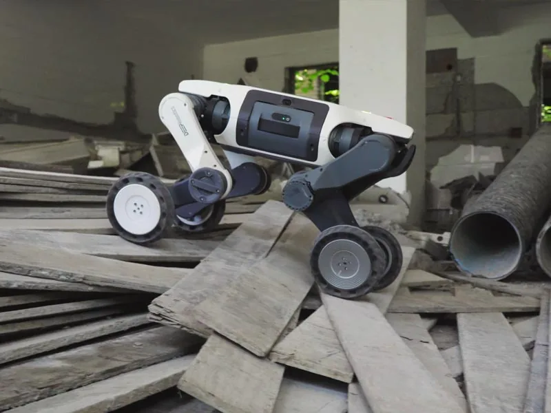 DeepRobotics LYNX S10