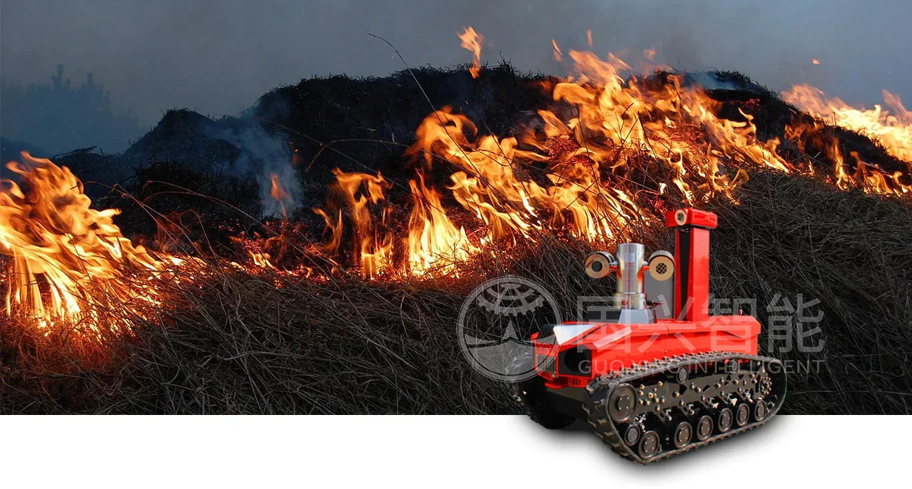 Guoxing RXR-C6BD